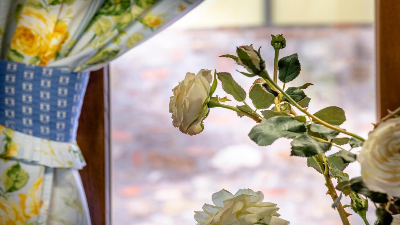 Il Cottage Di Patrizia Lucca Eksteriør bilde